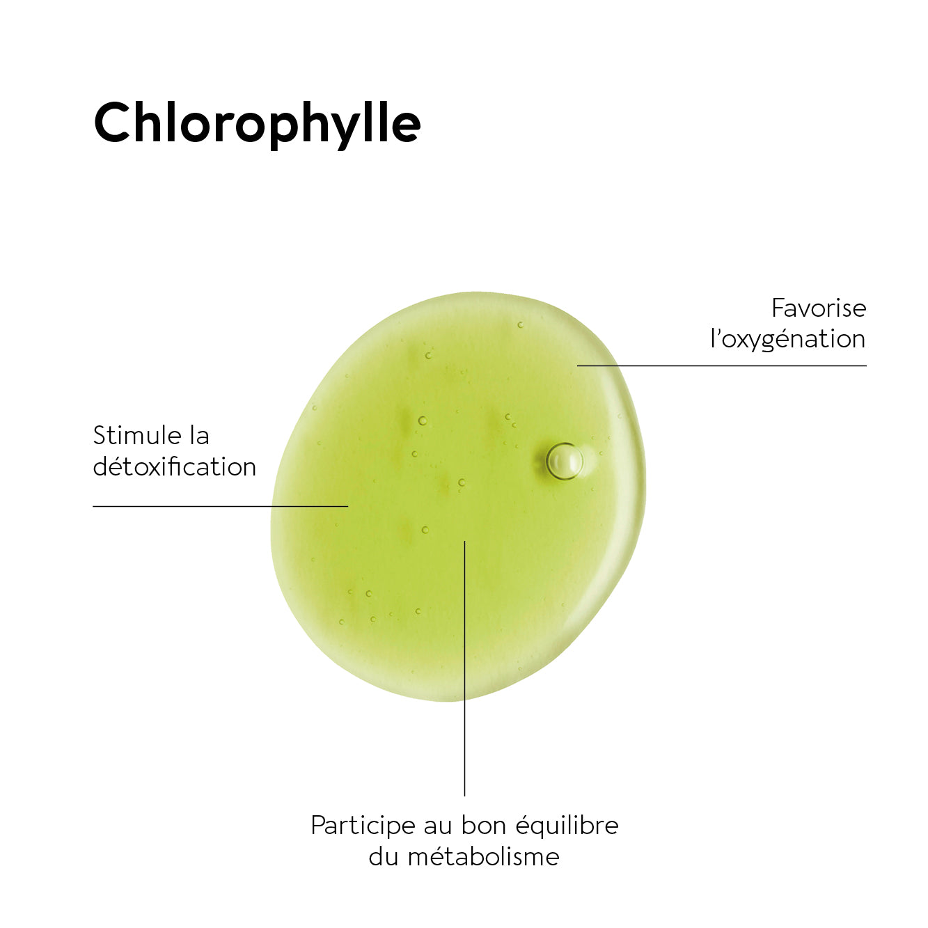 biocyte-peau-chlorophylle-compl-ment-menthe-d-tox image 3