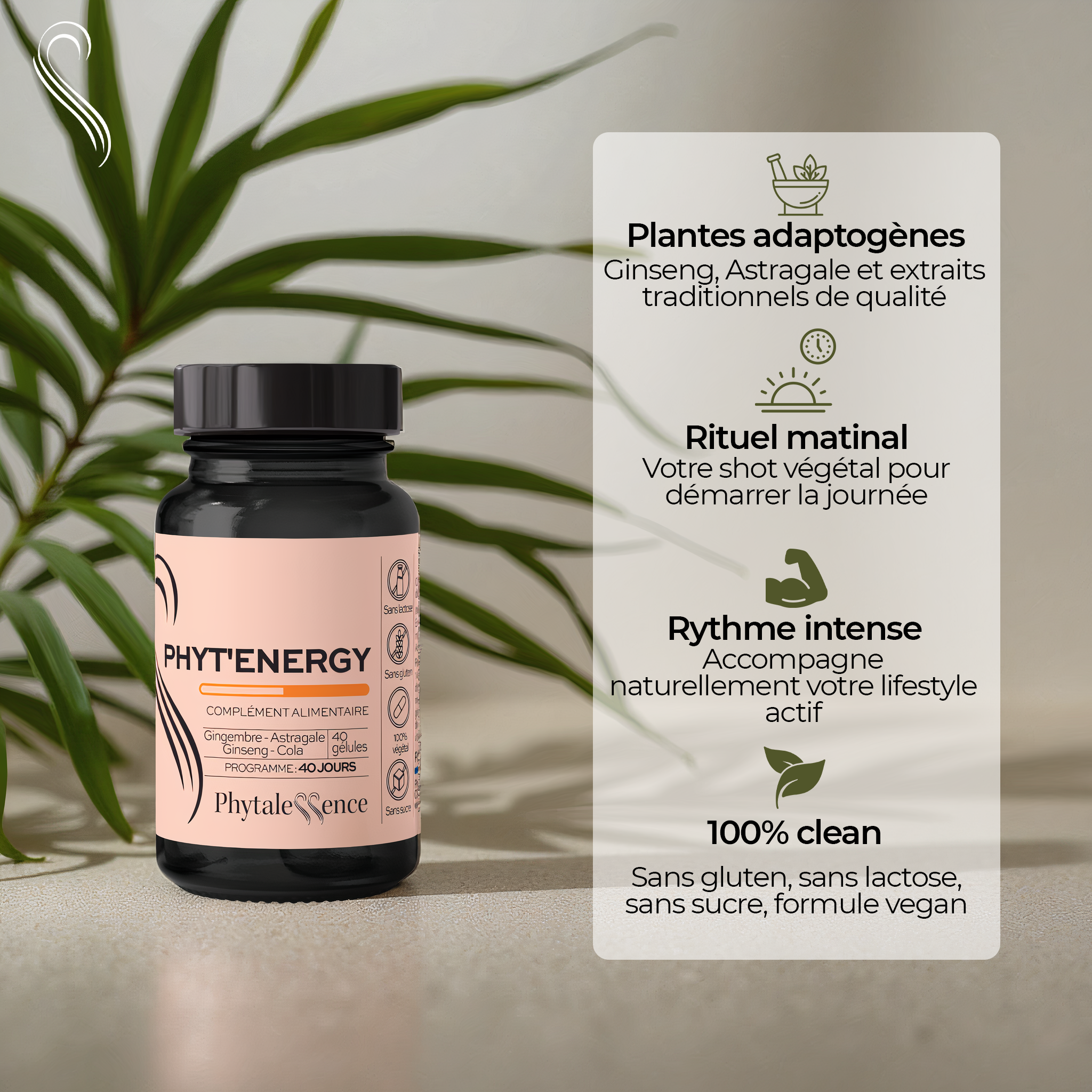 amina-premium-phyt-energy-compl-ment-alimentaire-nergie-ginseng image 2