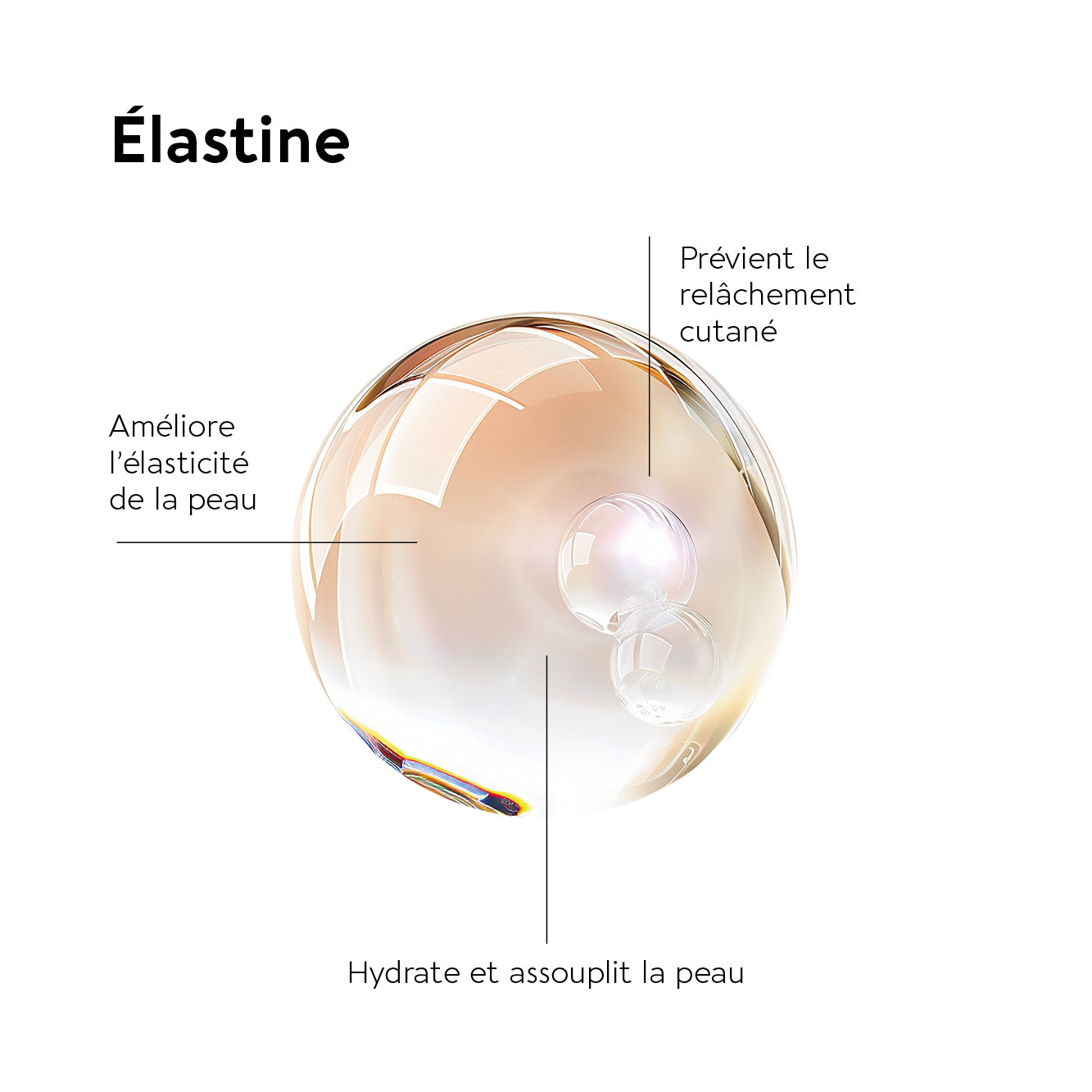 biocyte-peau-elastine-forte-500-mg-compl-ment-lasticit image 4