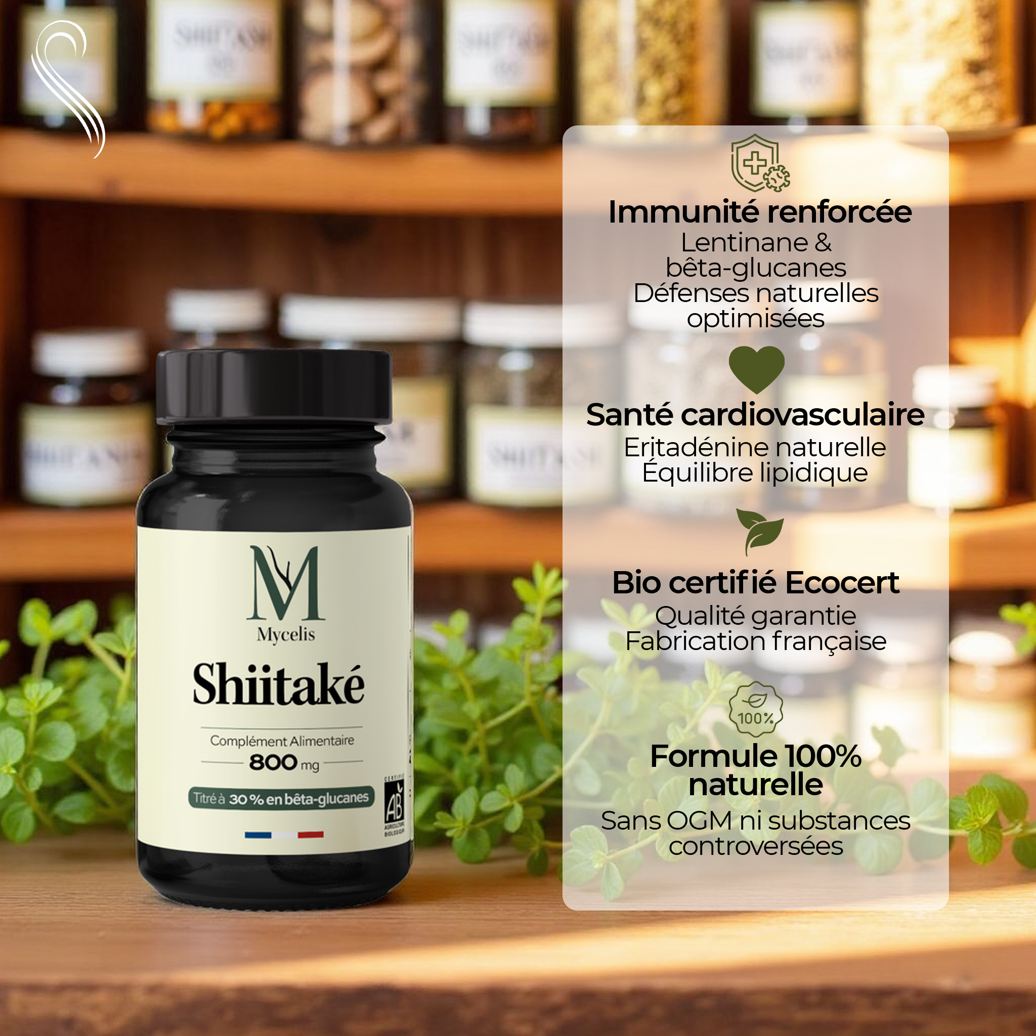 amina-pure-shiitak-champignon-bio-g-lules-immunit image 2