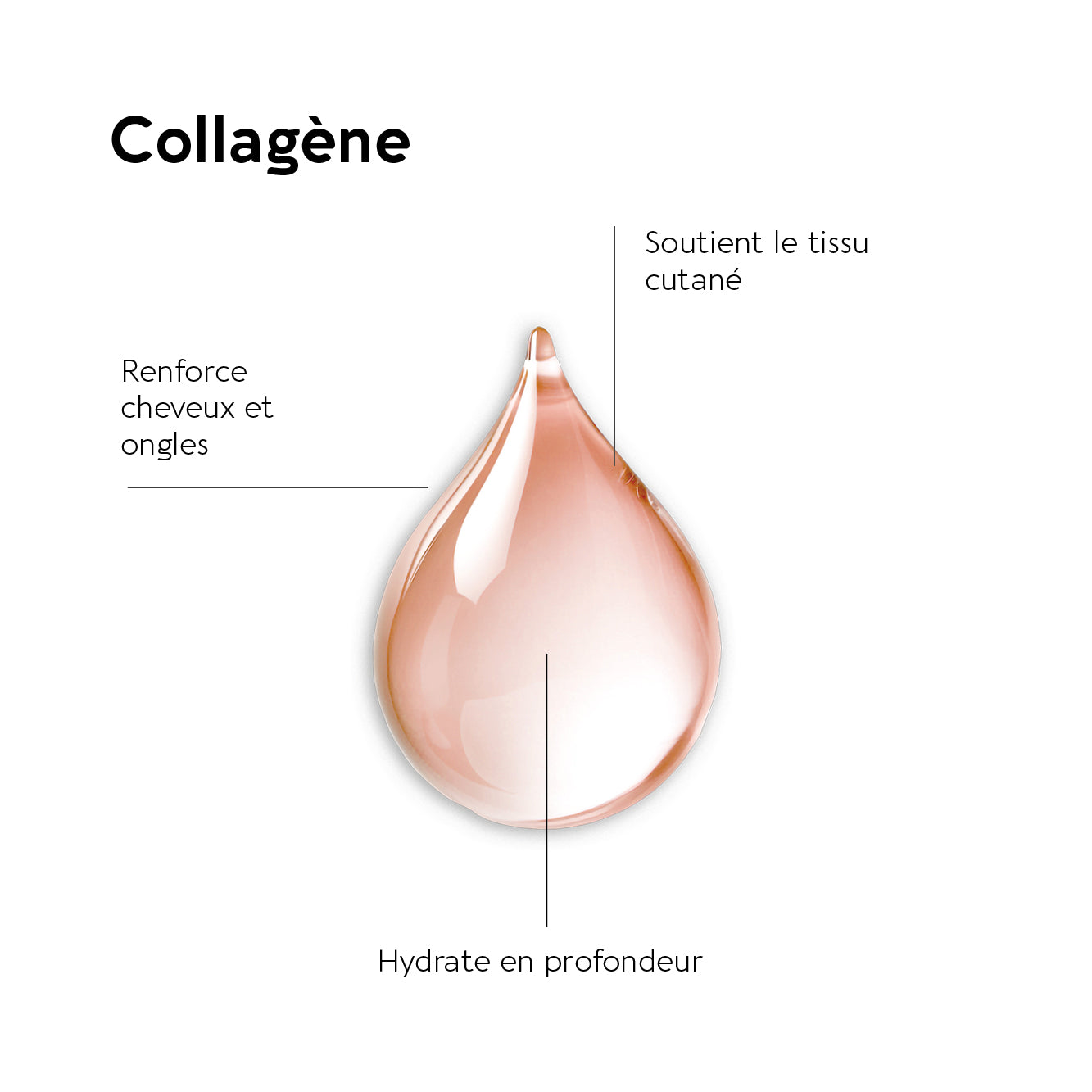 biocyte-collagen-express-marin-10g-collag-ne-sticks-p-che image 6