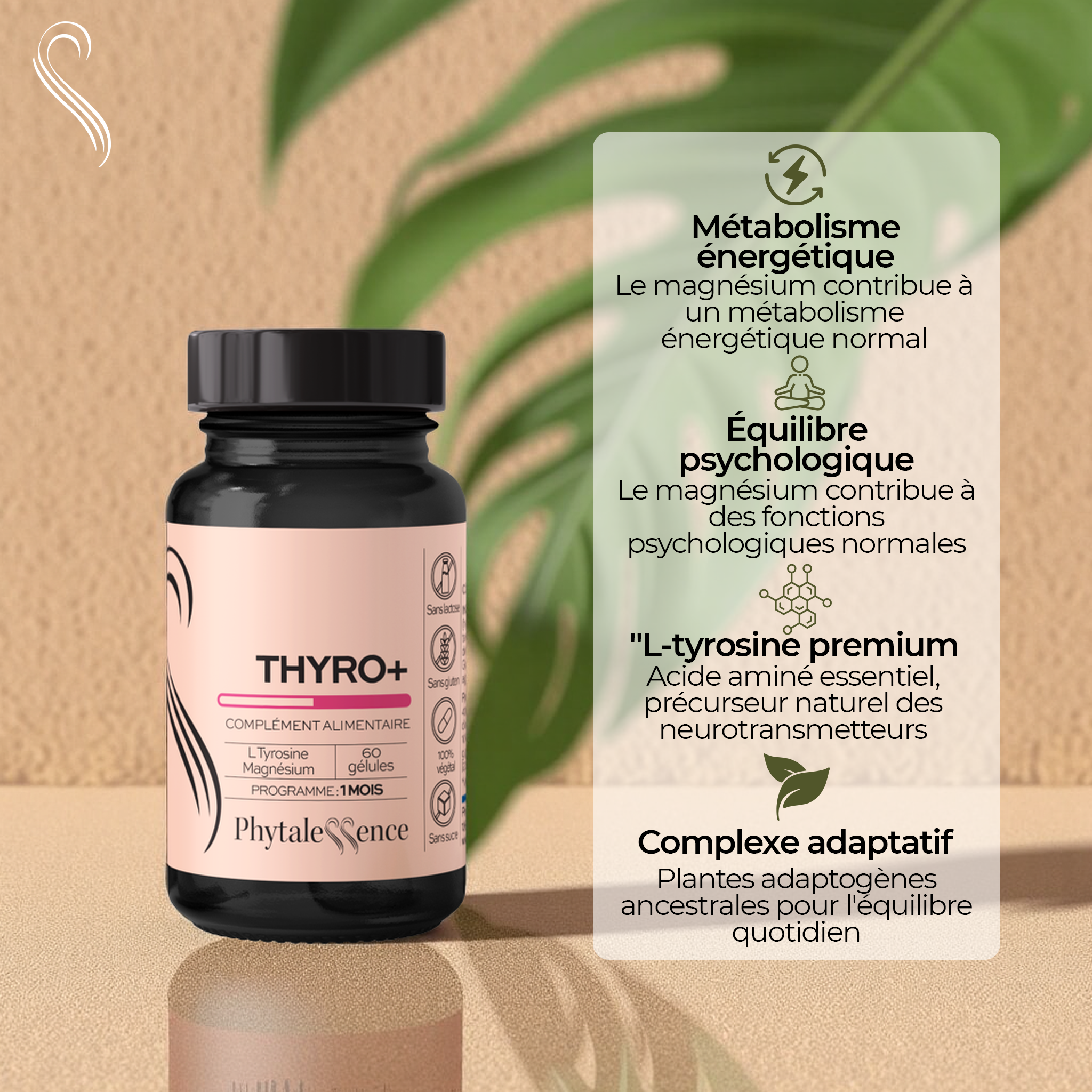 amina-premium-thyro-compl-ment-thyro-de-quilibre image 2