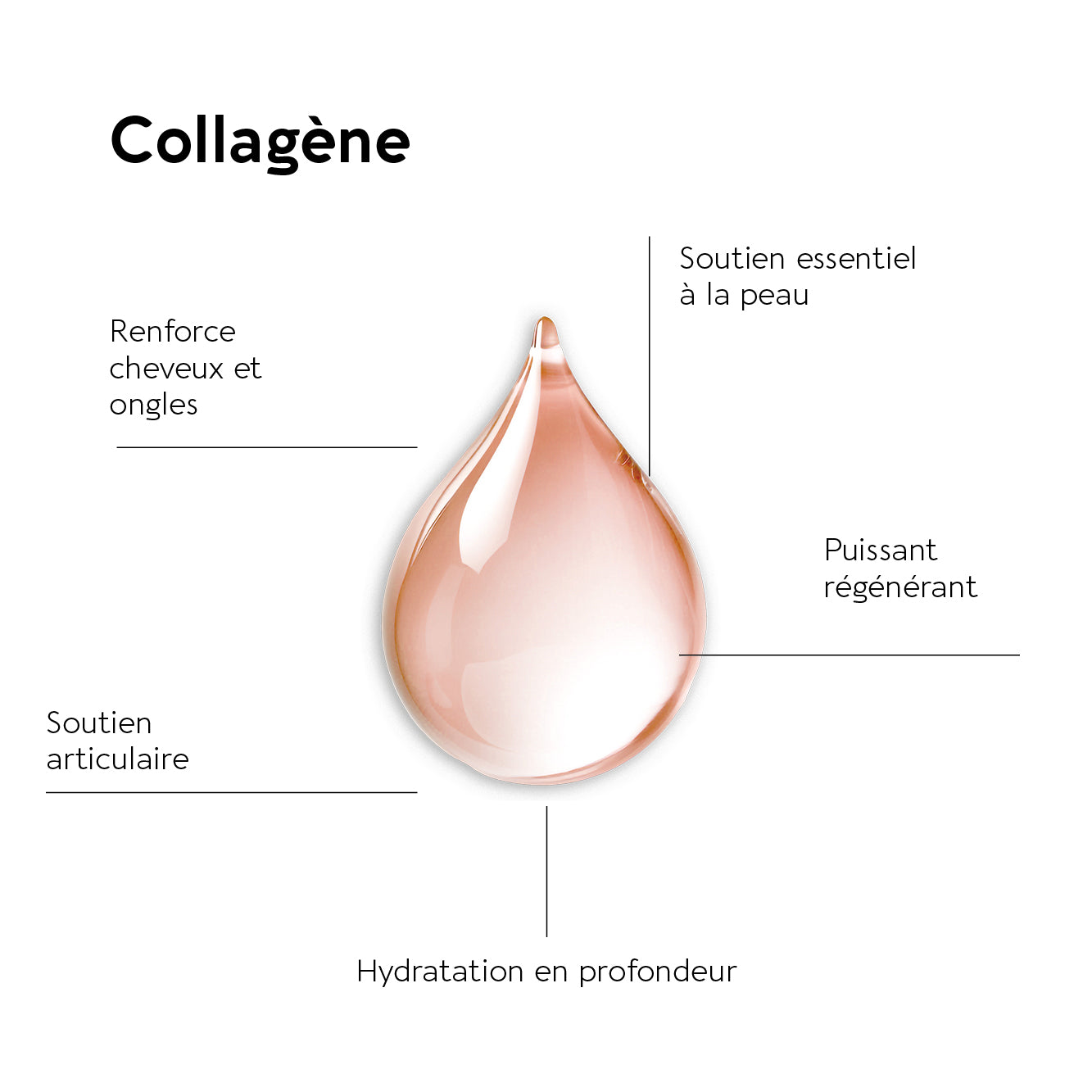 biocyte-peau-truffle-collagen-shot-compl-ment-fraise-fermet image 2