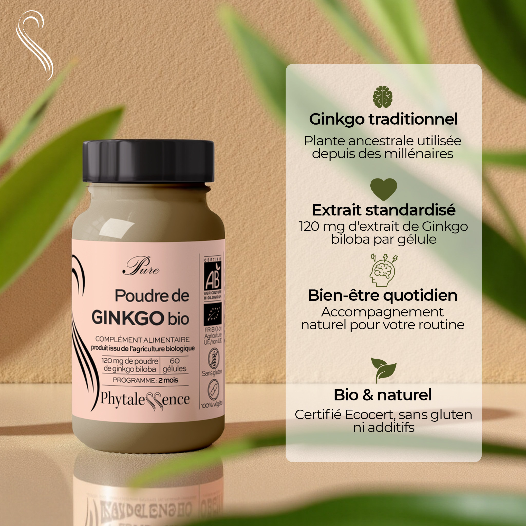 amina-pure-ginkgo-biloba-compl-ment-m-moire-bio image 2