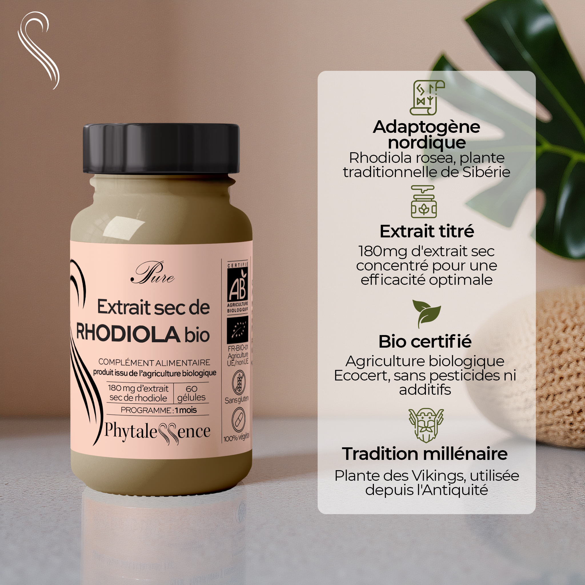 amina-pure-rhodiola-bio-compl-ment-anti-fatigue image 2