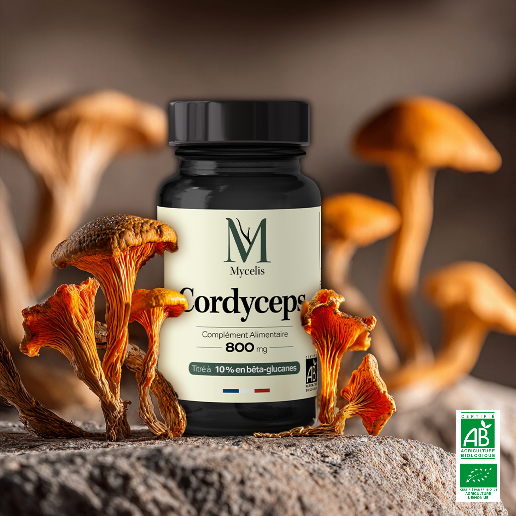 amina-pure-cordyceps-champignon-bio-g-lules image 1