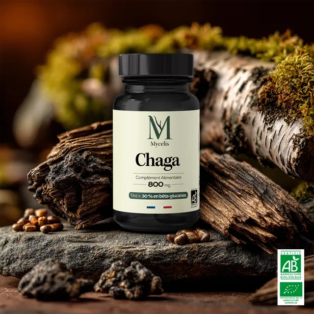 amina-pure-chaga-champignon-bio-compl-ment-immunit image 1