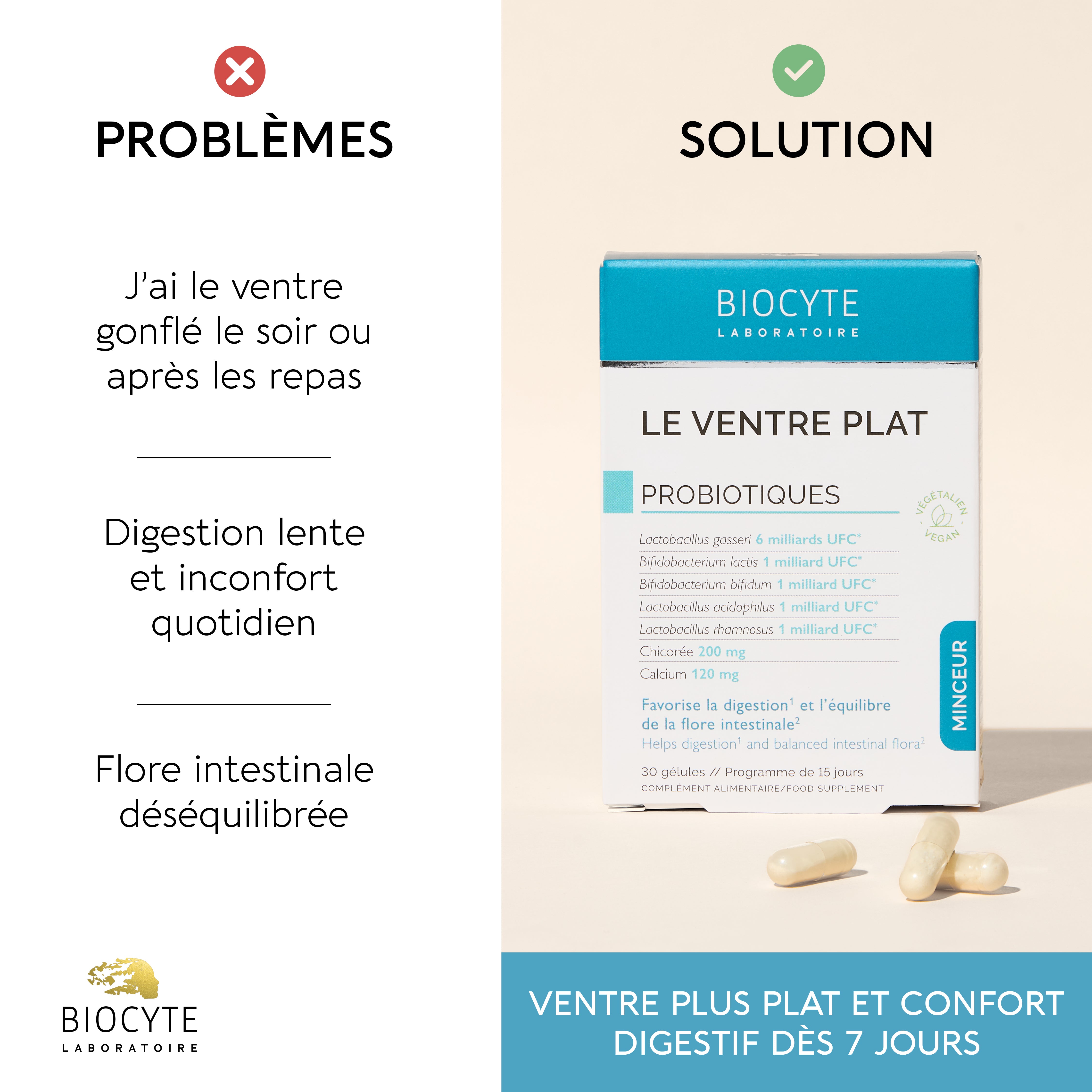 biocyte-minceur-le-ventre-plat-probiotiques-digestion-2-g-lules image 3