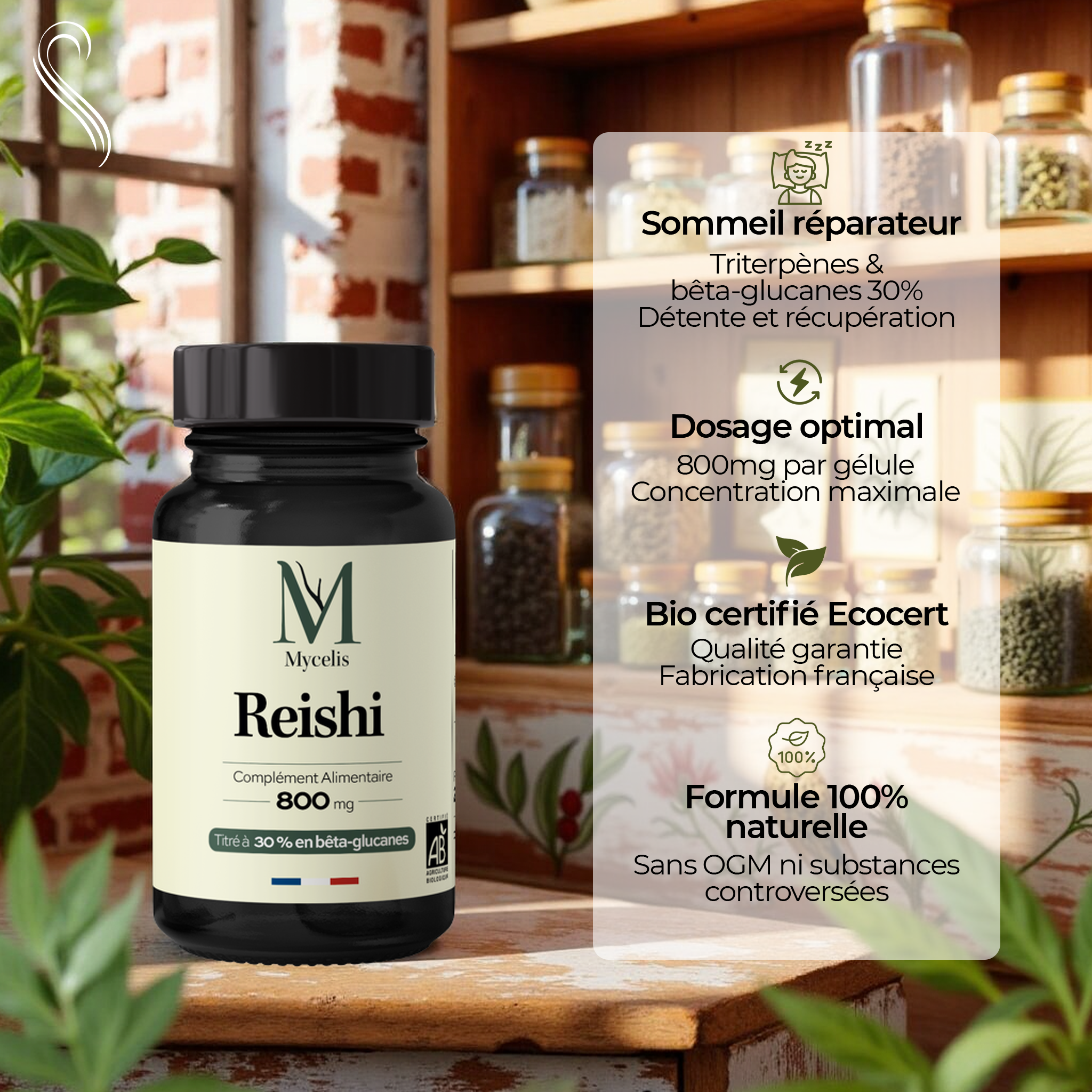 amina-pure-reishi-champignon-bio-g-lules-bien-tre image 2