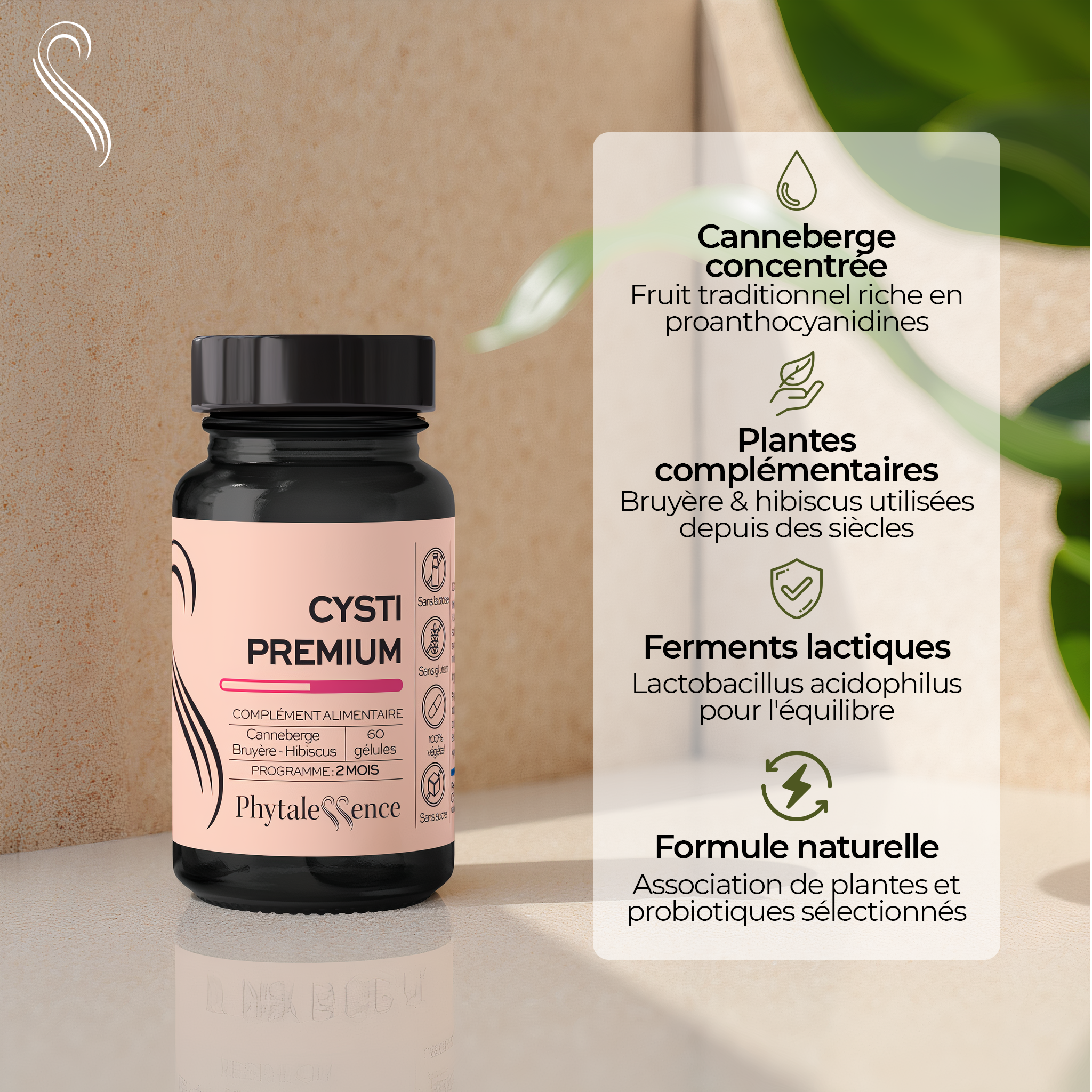 amina-premium-cysti-premium-g-lules-confort-urinaire-canneberge image 2
