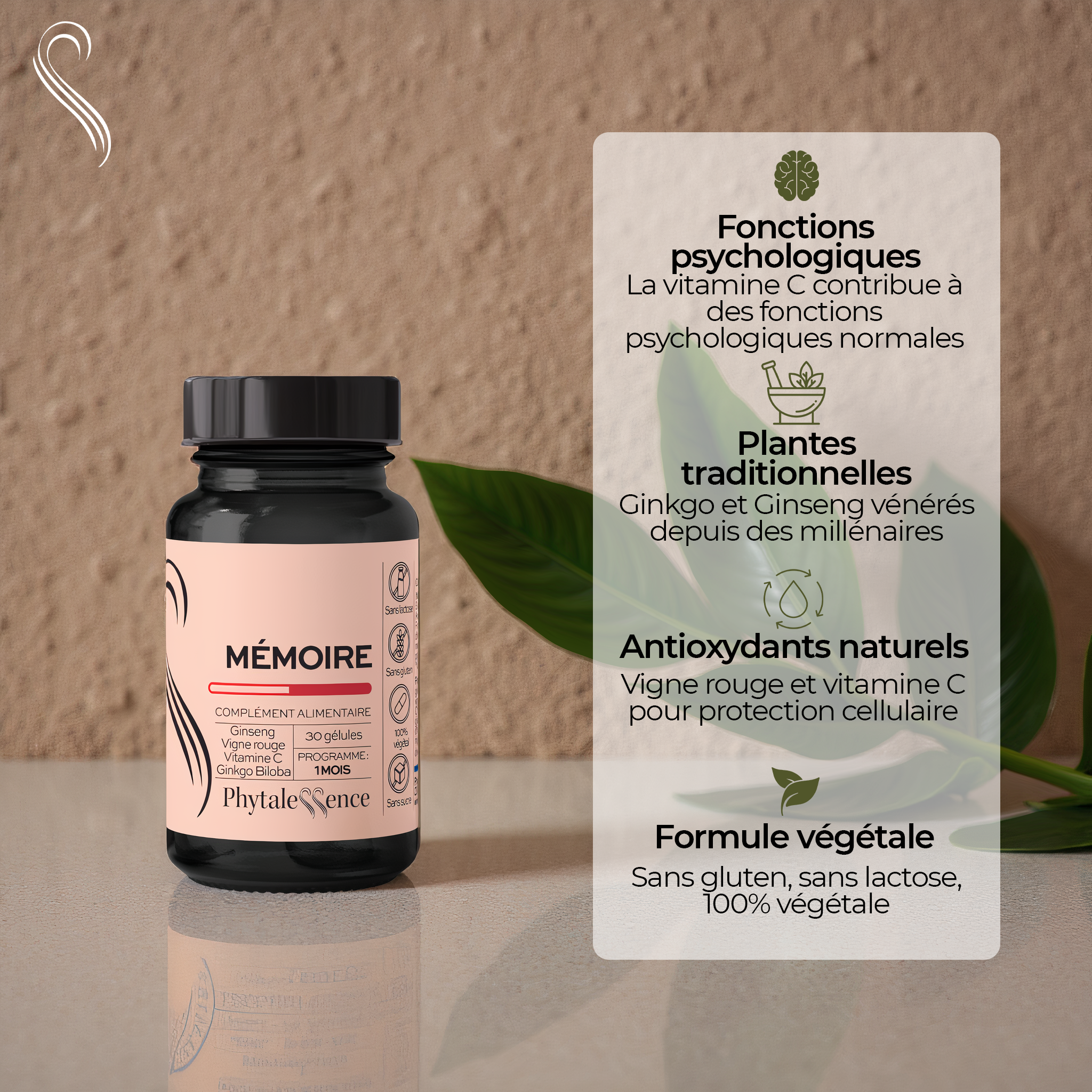 amina-premium-m-moire-ginseng-ginkgo-concentration image 2
