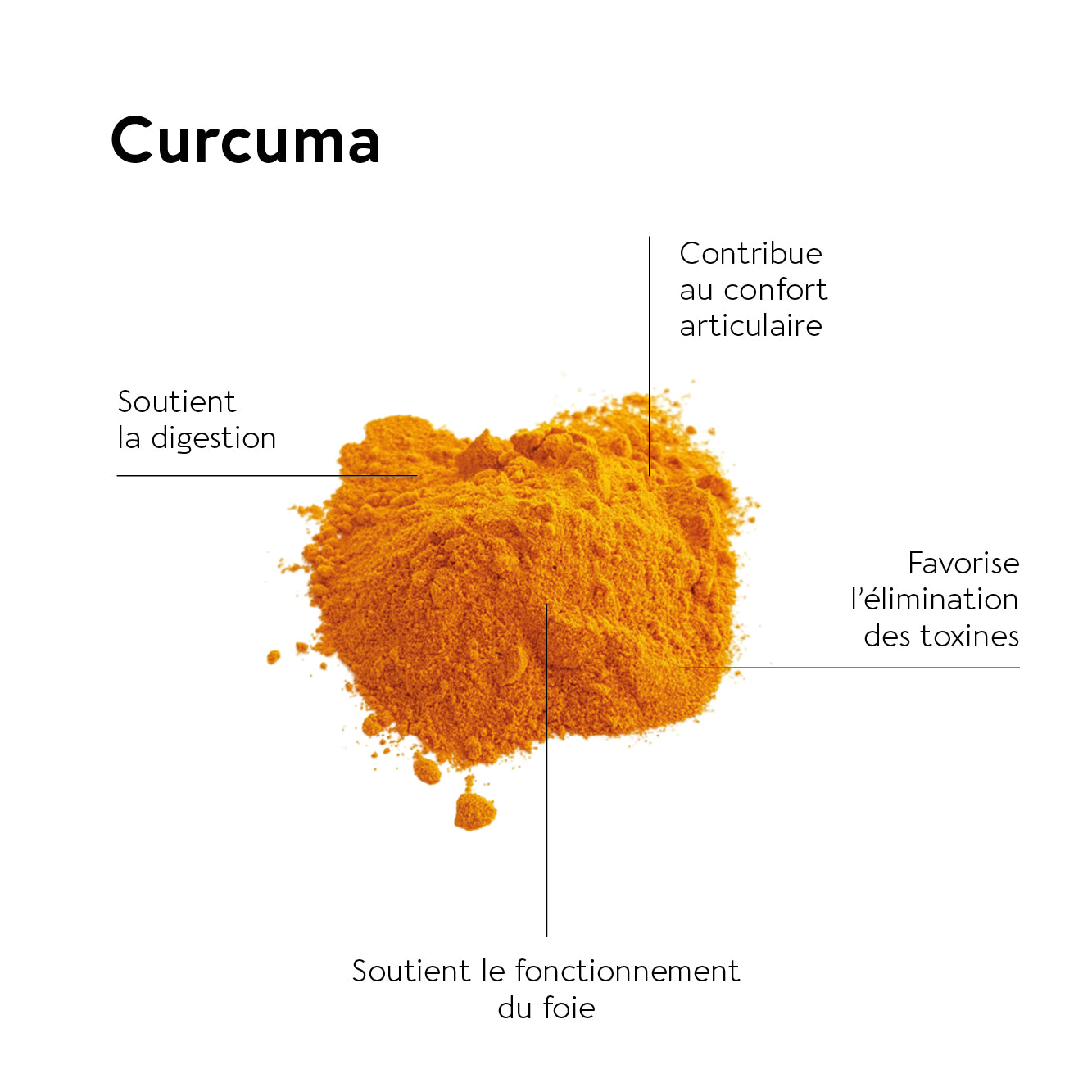 biocyte-sant-curcumin-forte-liposomal-30-g-lules-articulations image 3