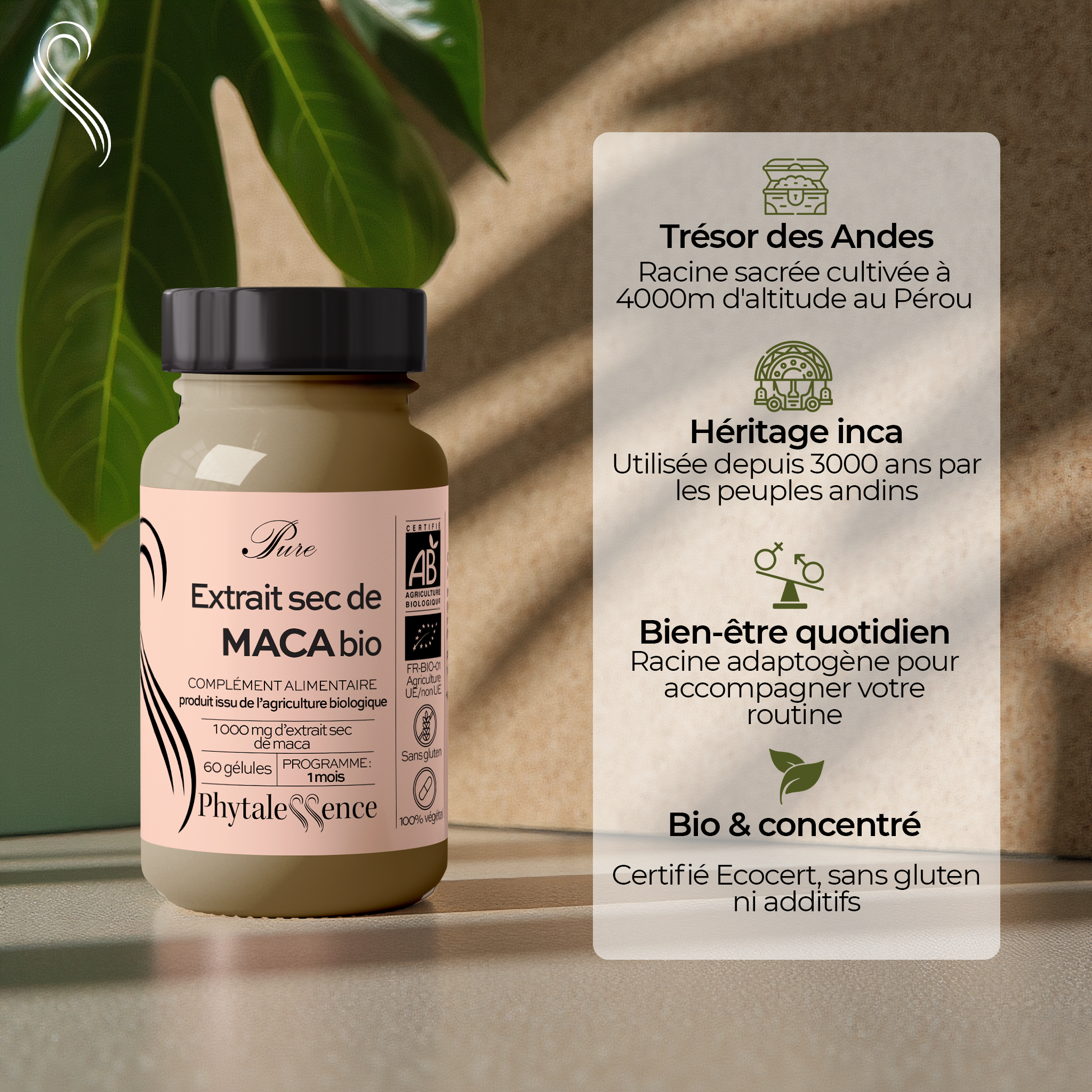 amina-pure-maca-bio-g-lules-nergie-et-vitalit image 2