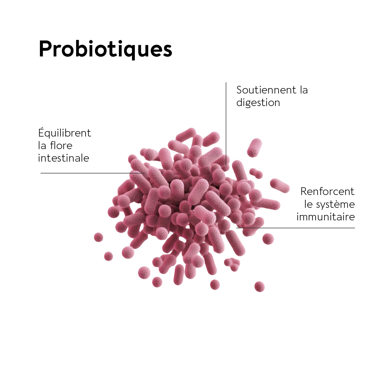 biocyte-sant-microbiote-digestion-probiotiques-confort-digestif image 2