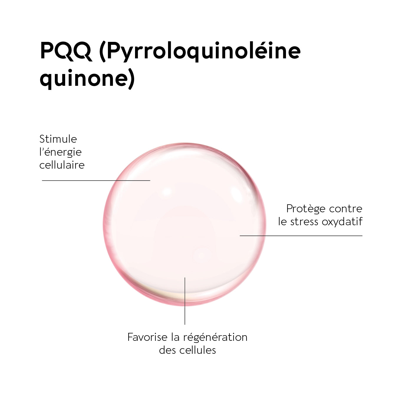 biocyte-sant-pqq-forte-20-mg-g-lules-coenzyme-q10 image 2