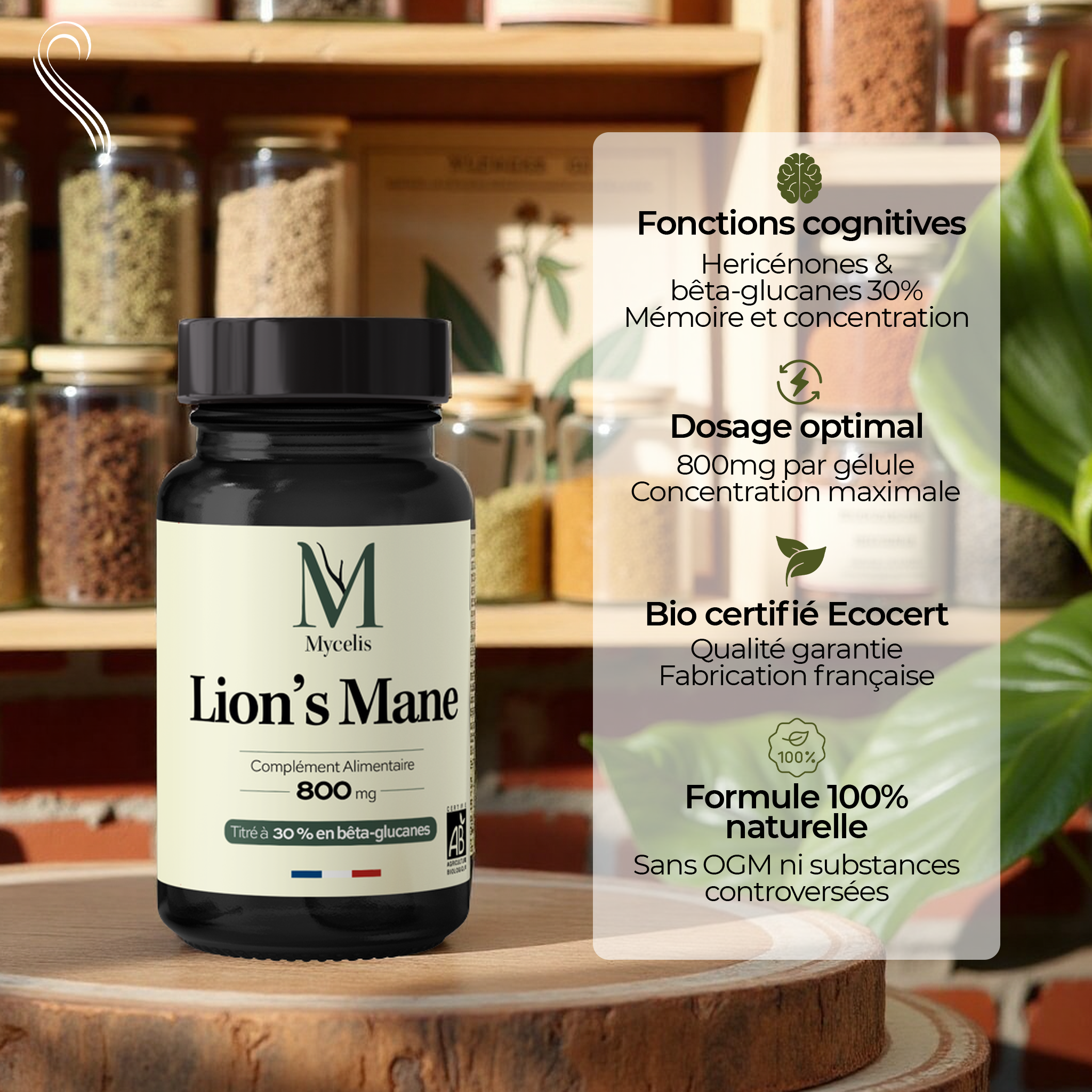 amina-pure-lion-s-mane-champignon-bio-concentration image 2