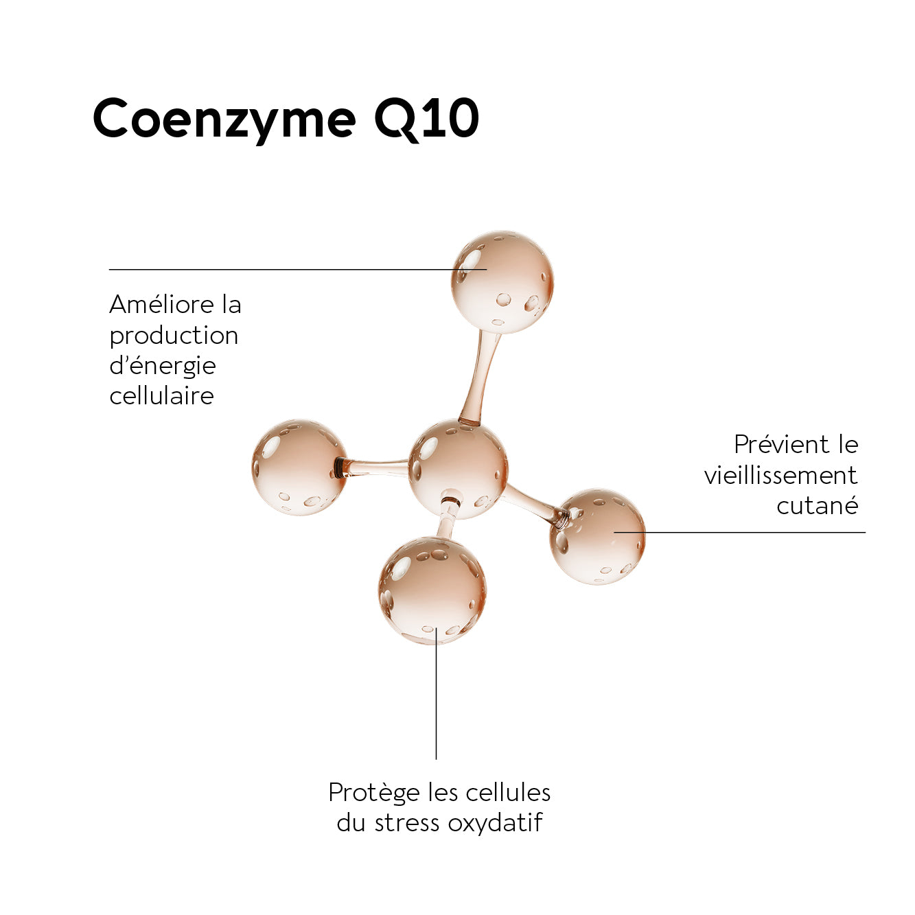 biocyte-sant-pqq-forte-20-mg-g-lules-coenzyme-q10 image 3