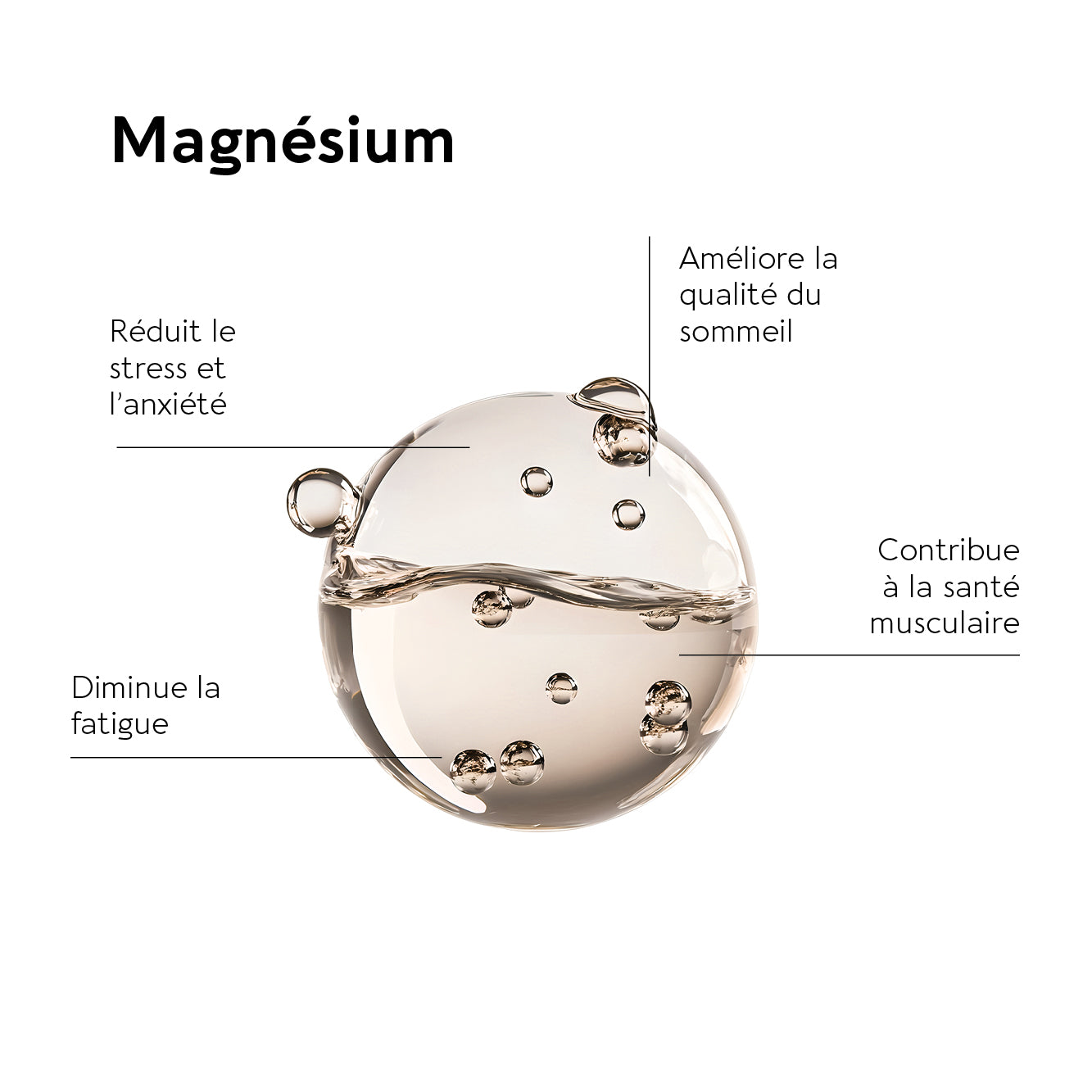 biocyte-muscle-relax-compl-ment-magn-sium-relaxation-musculaire image 2