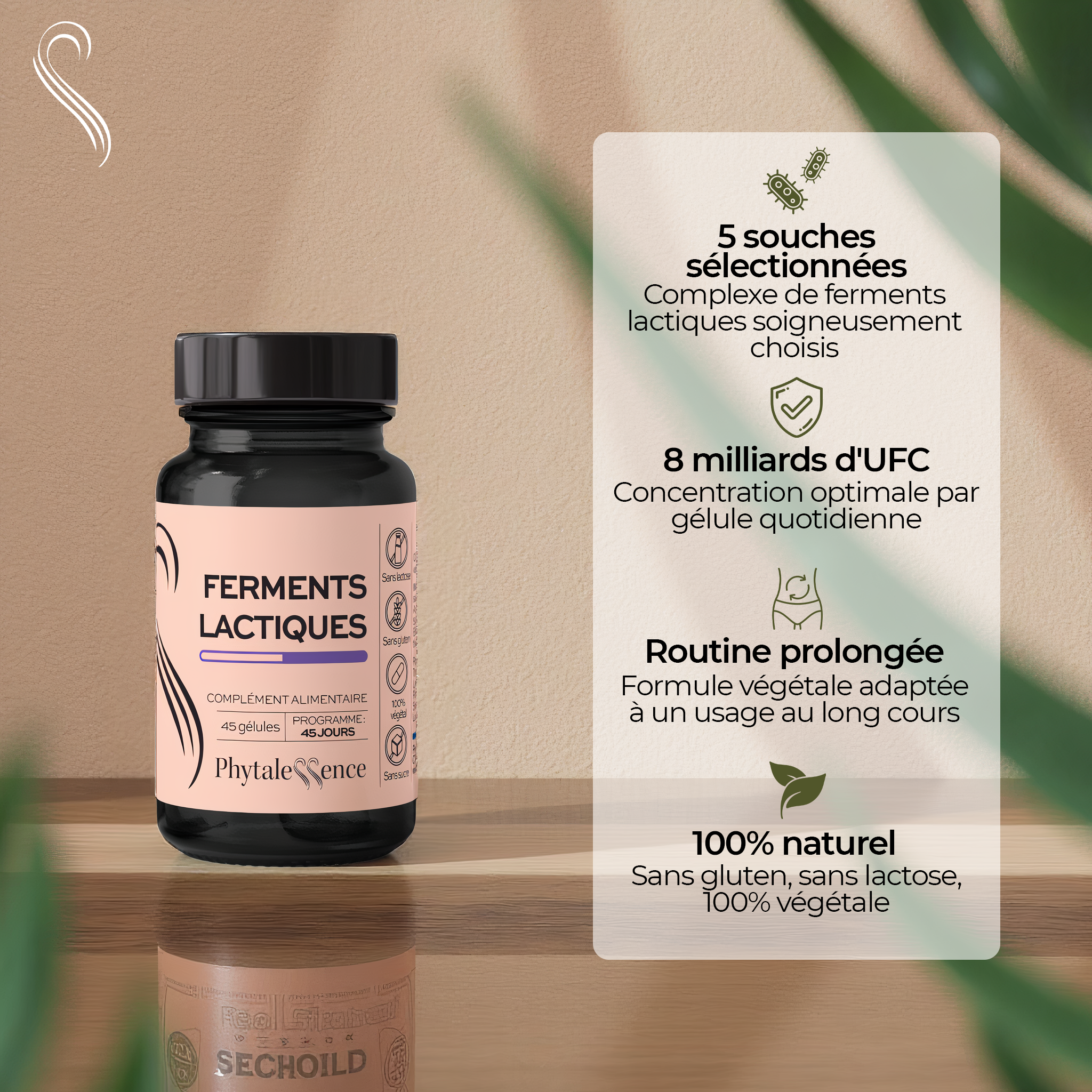 amina-premium-ferments-lactiques-compl-ment-digestion image 2