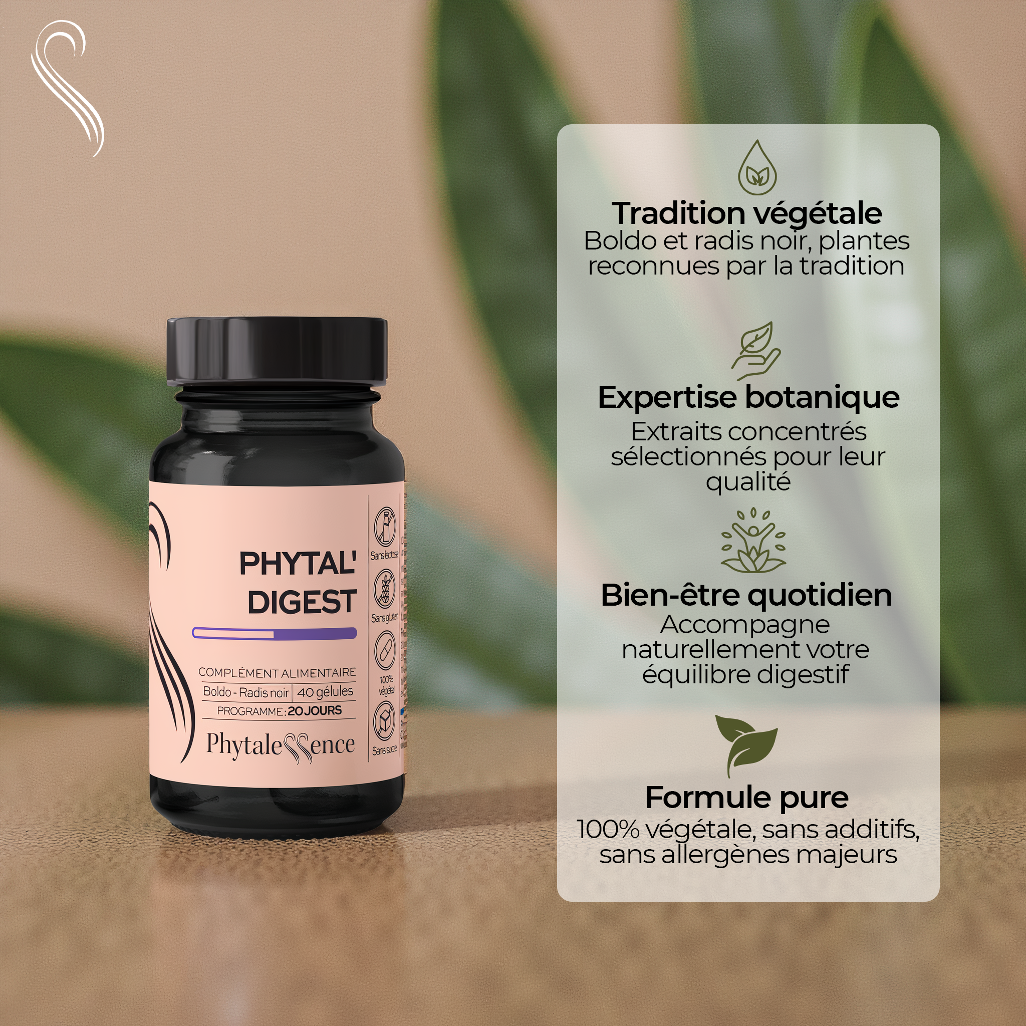 amina-premium-phytal-digest-g-lules-digestion-charbon-v-g-tal image 2