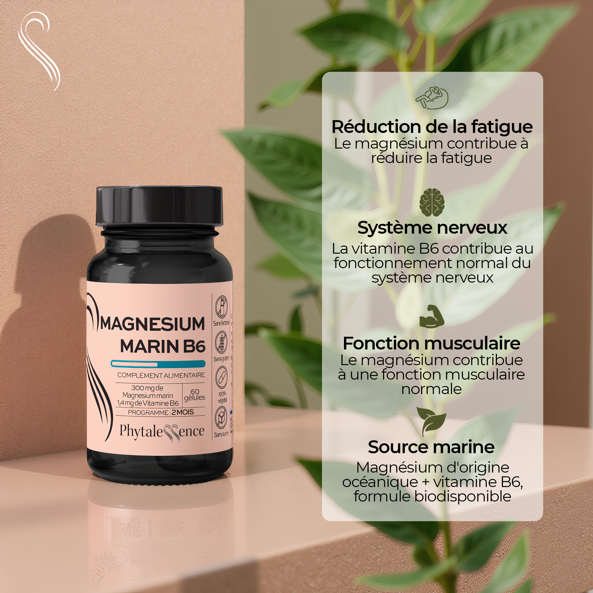amina-premium-magn-sium-marin-b6-compl-ment-fatigue image 2