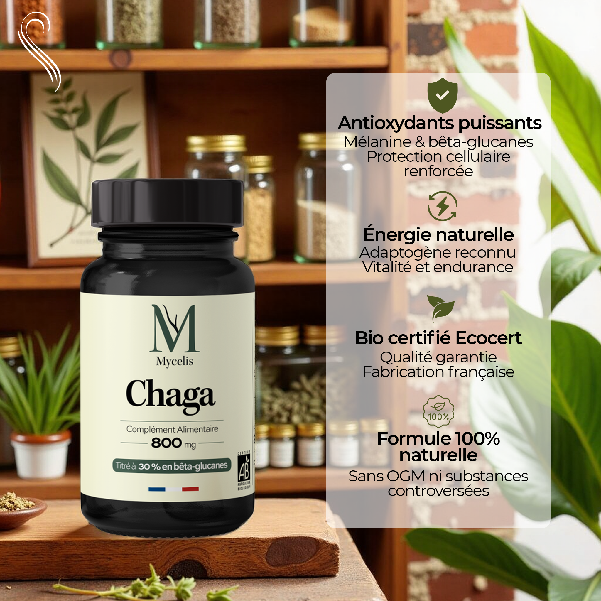 amina-pure-chaga-champignon-bio-compl-ment-immunit image 2