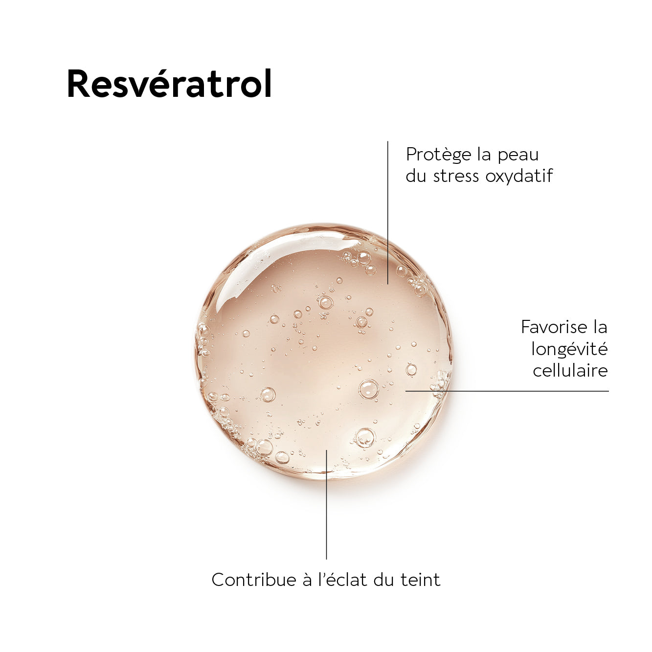 biocyte-peau-elastine-forte-500-mg-compl-ment-lasticit image 5