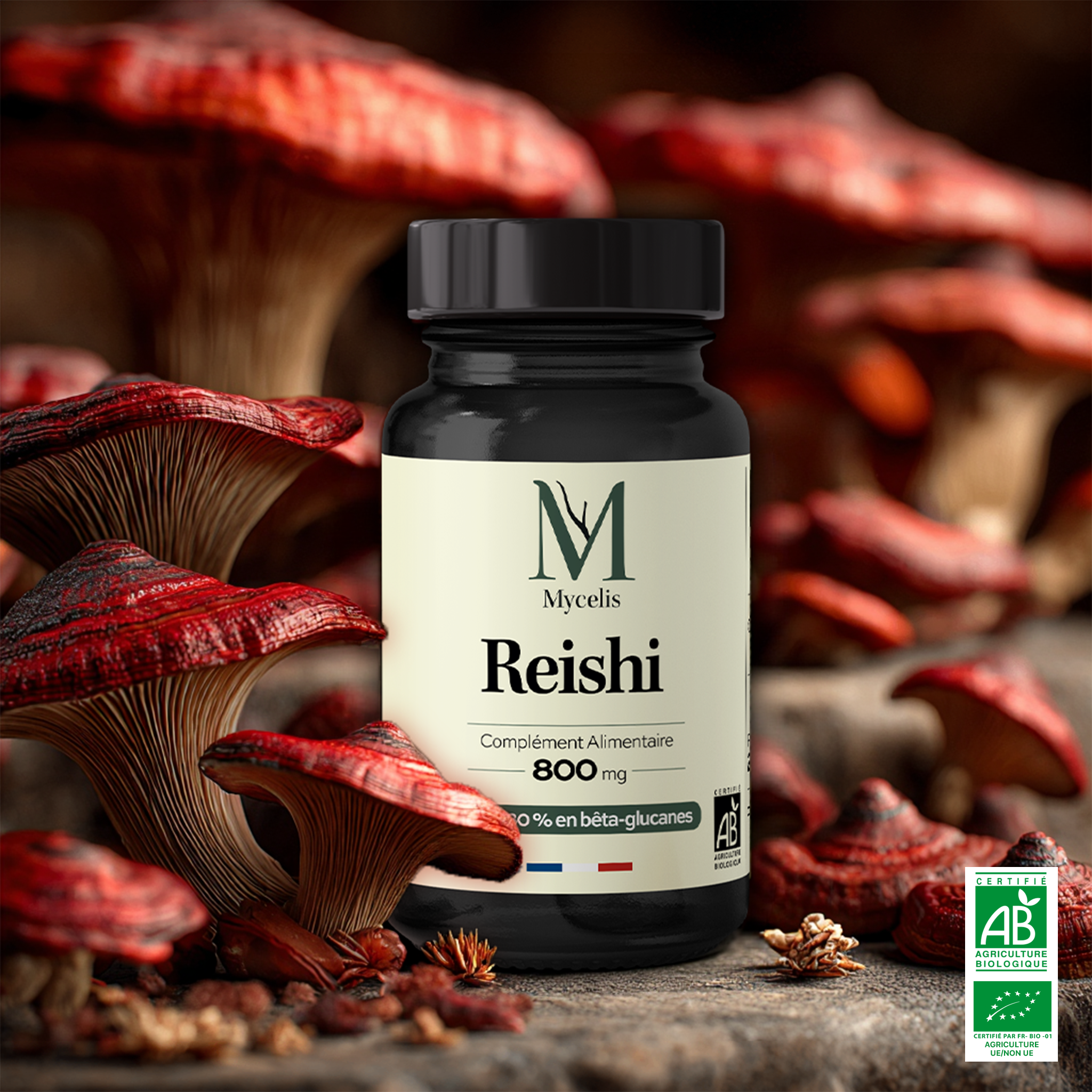 amina-pure-reishi-champignon-bio-g-lules-bien-tre image 1