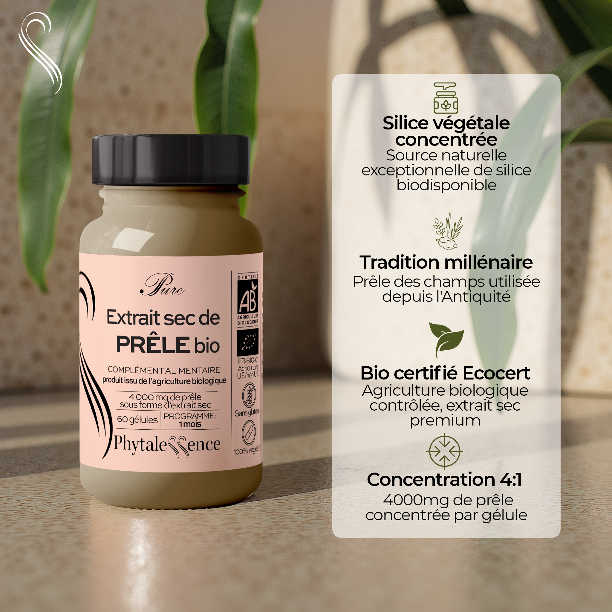amina-pure-pr-le-bio-mono-plante-remin-ralisante-os-cheveux image 2
