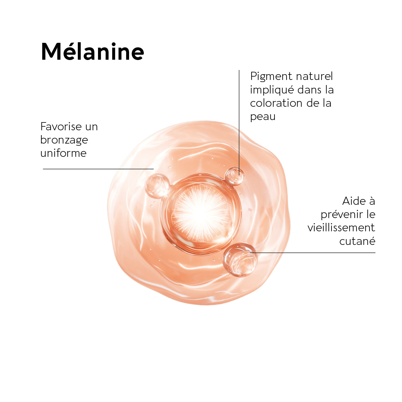 biocyte-terracotta-pack-bronzage-compl-ment-solaire-m-lanine image 4